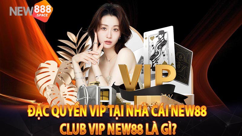 Đặc Quyền VIP Tại Nhà Cái New88 - Club VIP New88 là gì?